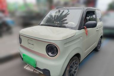 Used Geely Galaxy Panda 2023 Panda Mini 200km Endurance Bear