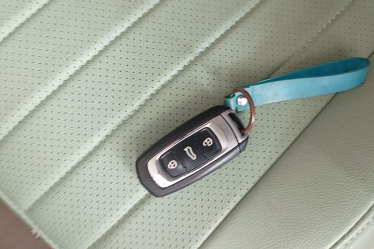Used Geely Galaxy Panda 2023 Panda Mini 200km Endurance Bear Vehicle Key
