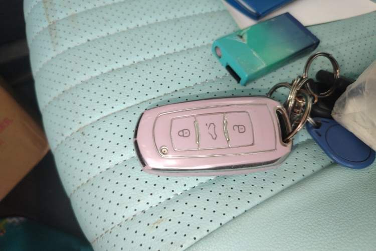 Used Geely Galaxy Panda 2023 Panda Mini 120km Asian Games Edition Vehicle Key