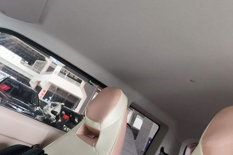 Used Geely Galaxy Panda 2023 Panda Mini 200km Endurance Bear Headliner