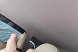 Thumbnail 19