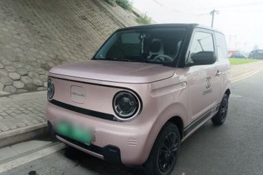 Used Geely Galaxy Panda 2023 Panda Mini 200km Endurance Bear