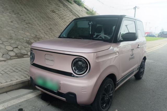 Used Geely Galaxy Panda 2023 Panda Mini 200km Endurance Bear