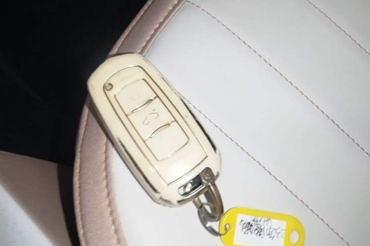 Used Geely Galaxy Panda 2023 Panda Mini 200km Endurance Bear Interior 1