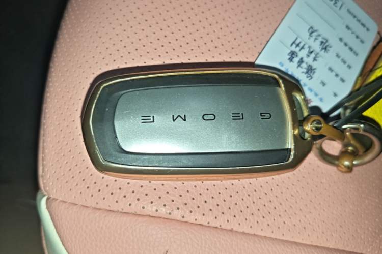 Used Geely Galaxy Panda 2023 Panda Mini 200km Endurance Bear Interior 1
