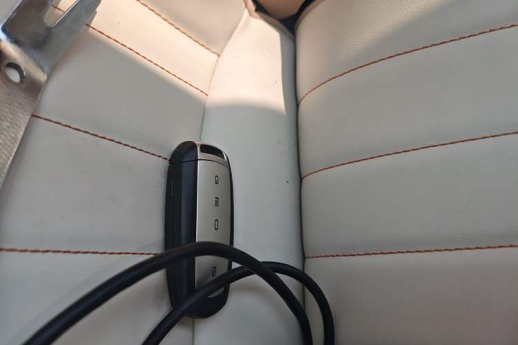 Used Geely Galaxy Panda 2023 Panda Mini 200km Dynamic Bear Interior 1