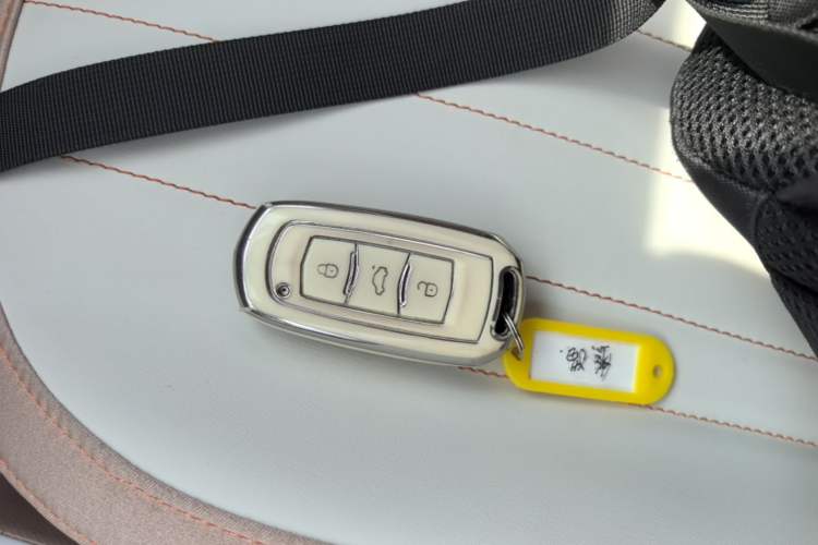 Used Geely Galaxy Panda 2023 Panda Mini 200km Endurance Bear Interior 1