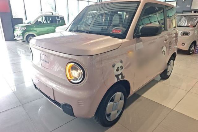 Used Geely Galaxy Panda 2023 Panda Mini 200km Endurance Bear