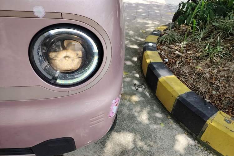 Used Geely Galaxy Panda 2023 Panda Mini 200km Endurance Bear Left Front Headlight