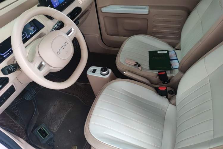 Used Geely Galaxy Panda 2023 Panda Mini 200km Endurance Bear Left Front Seat