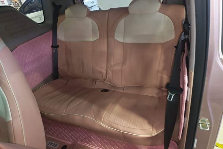 Used Geely Galaxy Panda 2023 Panda Mini 200km Endurance Bear Left Rear Seat