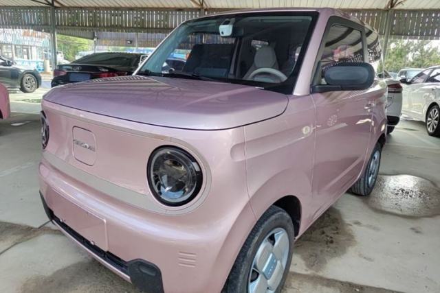 Used Geely Galaxy Panda 2023 Panda Mini 200km "Lucky Duck" Limited Edition – Lucky You!