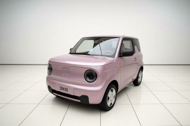 Ojetý Geely Galaxy Panda 2023 Panda Mini 200km Endurance Bear