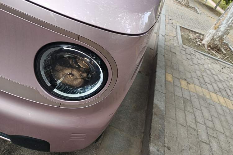 Used Geely Galaxy Panda 2023 Panda Mini 200km Endurance Bear Left Front Headlight