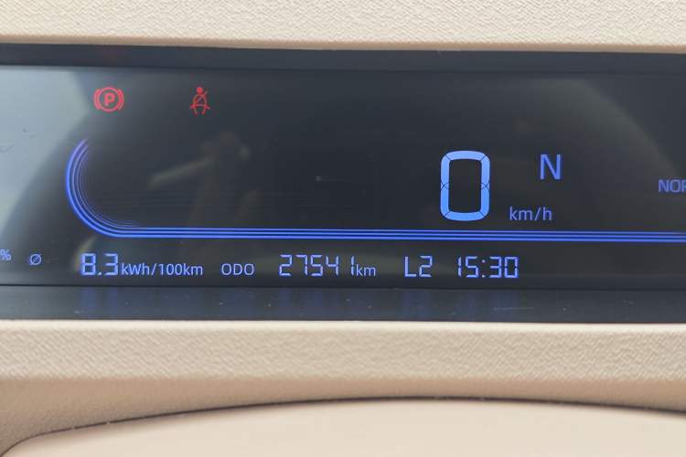 Used Geely Galaxy Panda 2023 Panda Mini 200km Endurance Bear Odometer Close Up