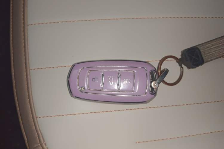 Used Geely Galaxy Panda 2023 Panda Mini 200km Endurance Bear Vehicle Key