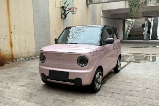 Geely Galaxy Panda 2023 Panda Mini 200km Dynamic Bear usado