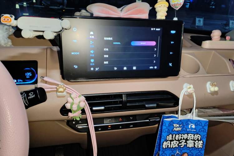 Used Geely Galaxy Panda 2023 Panda Mini 200km Endurance Bear Audio And AC Panel