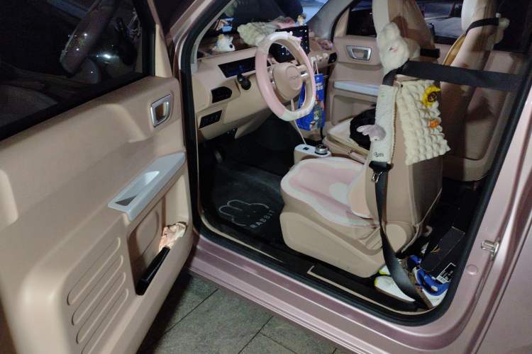 Used Geely Galaxy Panda 2023 Panda Mini 200km Endurance Bear Driver Seat