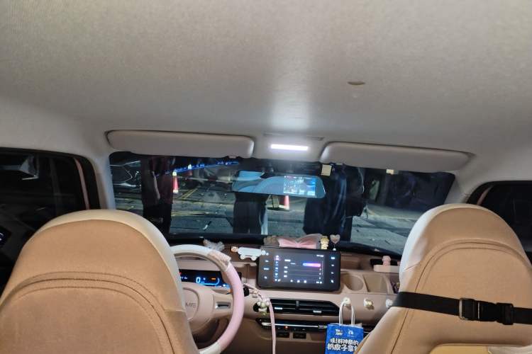 Used Geely Galaxy Panda 2023 Panda Mini 200km Endurance Bear Headliner
