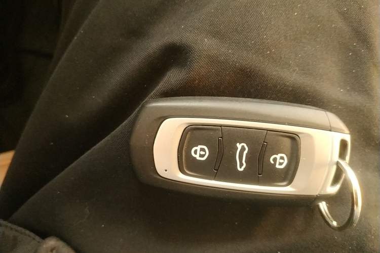 Used Geely Galaxy Panda 2023 Panda Mini 200km Dynamic Bear Interior 1