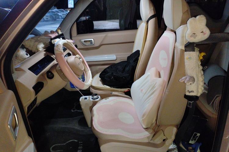 Used Geely Galaxy Panda 2023 Panda Mini 200km Endurance Bear Left Front Seat