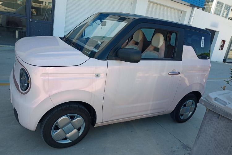 Used Geely Galaxy Panda 2023 Panda Mini 200km Endurance Bear Left Side