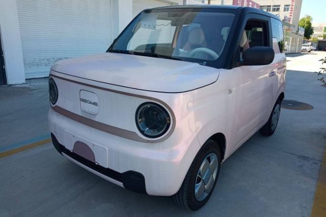 Used Geely Galaxy Panda 2023 Panda Mini 200km Endurance Bear