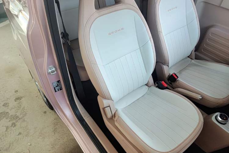 Used Geely Galaxy Panda 2023 Panda Mini 200km "Lucky Duck" Limited Edition – Lucky You! Right Front Seat