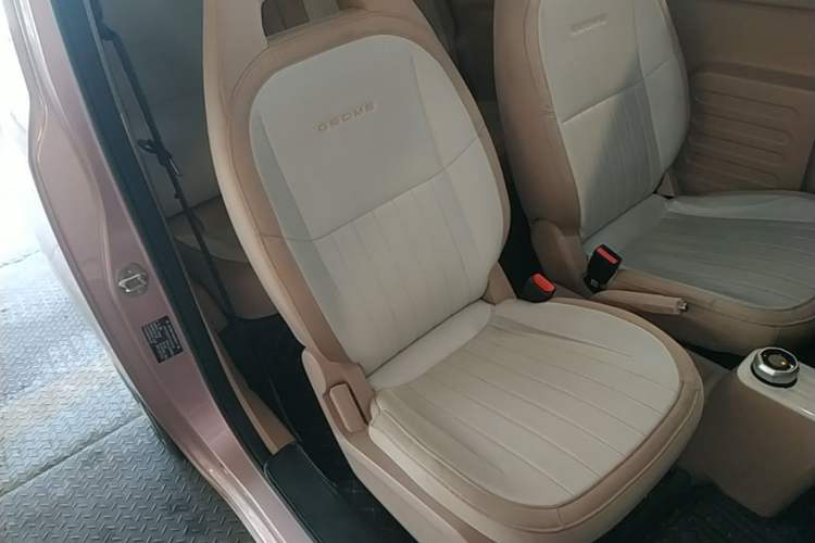 Used Geely Galaxy Panda 2023 Panda Mini 200km Dynamic Bear Right Front Seat