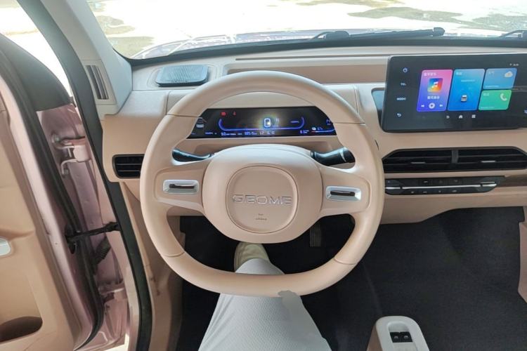 Used Geely Galaxy Panda 2023 Panda Mini 200km "Lucky Duck" Limited Edition – Lucky You! Steering Wheel
