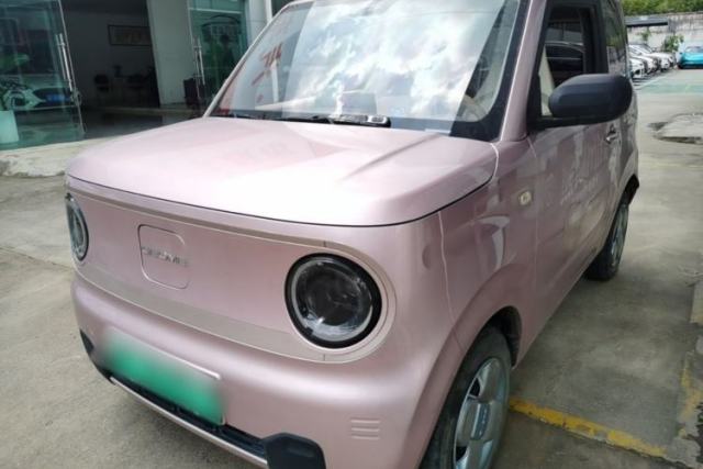Used Geely Galaxy Panda 2023 Panda Mini 200km Endurance Bear
