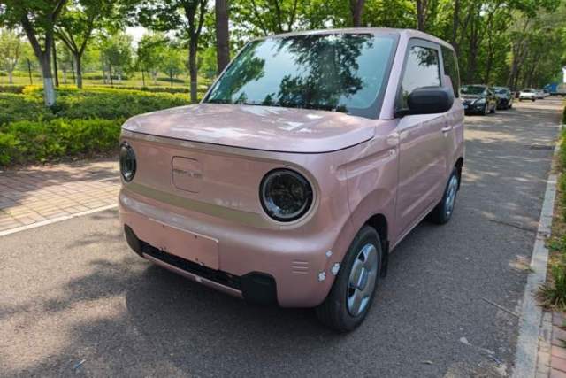 Used Geely Galaxy Panda 2023 Panda Mini 200km Endurance Bear
