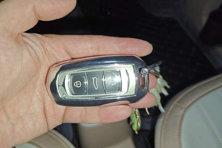 Used Geely Galaxy Panda 2023 Panda Mini 200km Endurance Bear Vehicle Key
