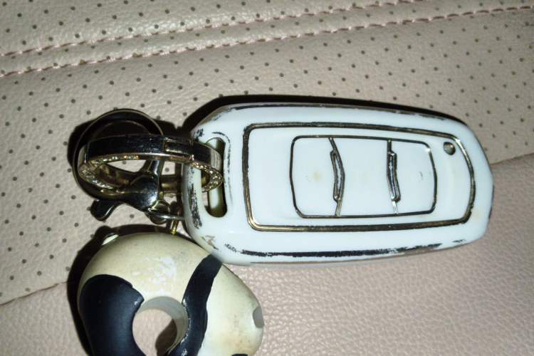 Used Geely Galaxy Panda 2023 Panda Mini New Year Edition Treasure Bear Vehicle Key