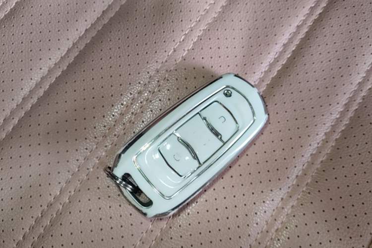 Used Geely Galaxy Panda 2023 Panda Mini 200km Endurance Bear Vehicle Key