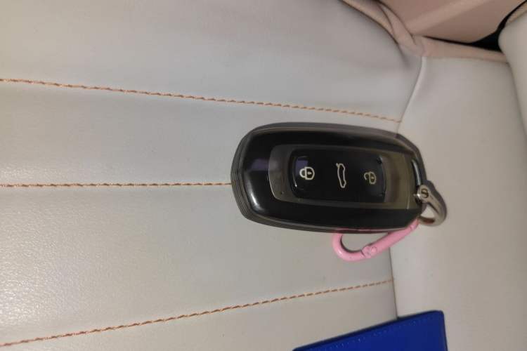 Used Geely Galaxy Panda 2023 Panda Mini 200km Endurance Bear Vehicle Key