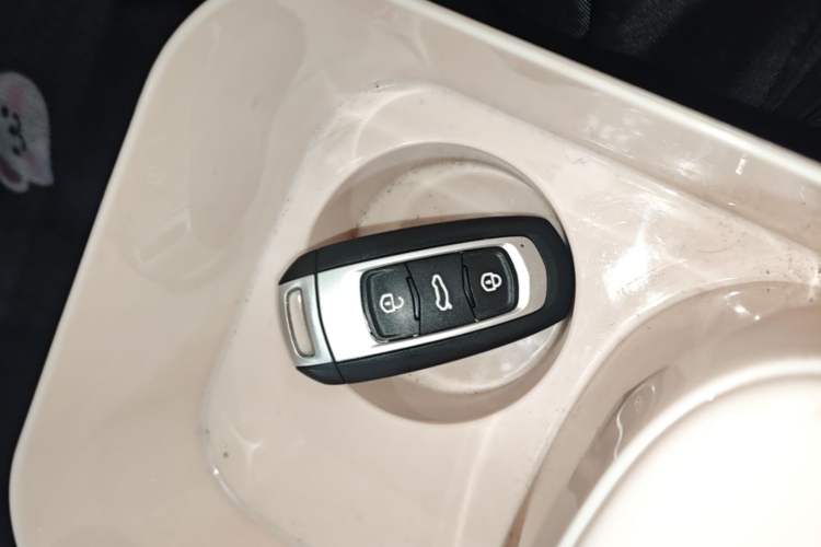 Used Geely Galaxy Panda 2023 Panda Mini 200km Endurance Bear Vehicle Key