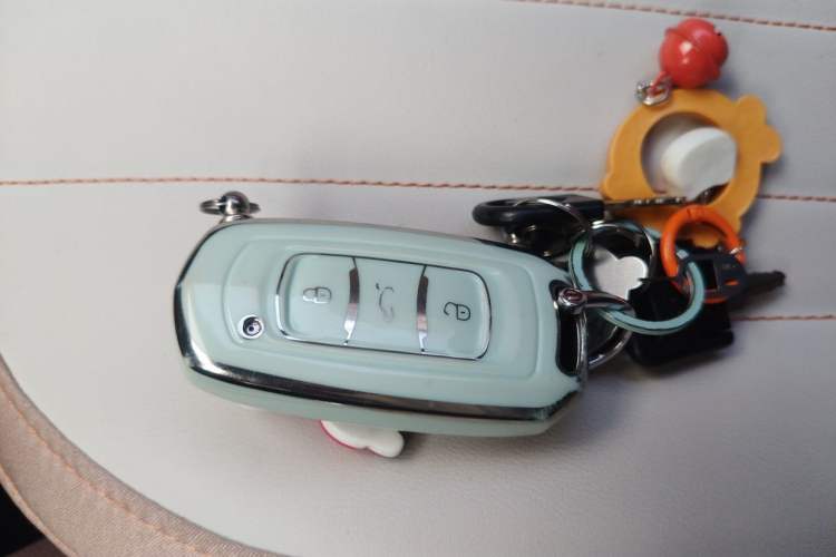 Used Geely Galaxy Panda 2023 Panda Mini 200km Endurance Bear Vehicle Key