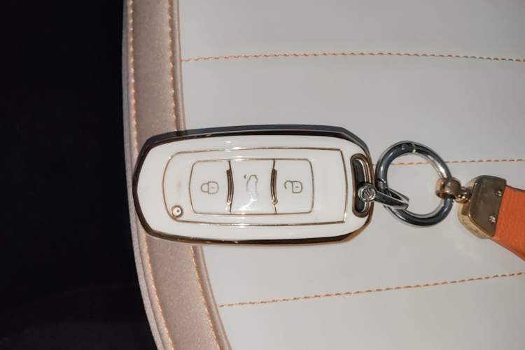 Used Geely Galaxy Panda 2023 Panda Mini 200km Endurance Bear Vehicle Key