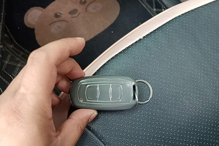 Used Geely Galaxy Panda 2023 Panda Mini 200km Endurance Bear Vehicle Key