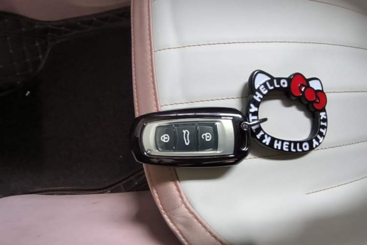 Used Geely Galaxy Panda 2023 Panda Mini 200km Endurance Bear Vehicle Key