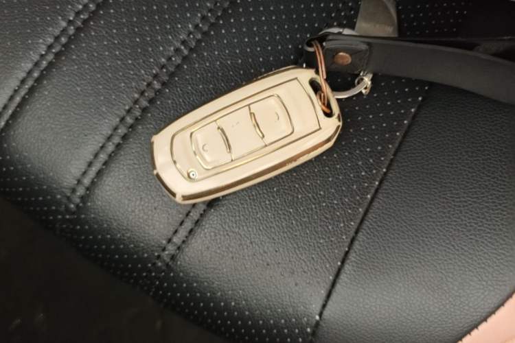 Used Geely Galaxy Panda 2023 Panda Mini 200km Endurance Bear Vehicle Key