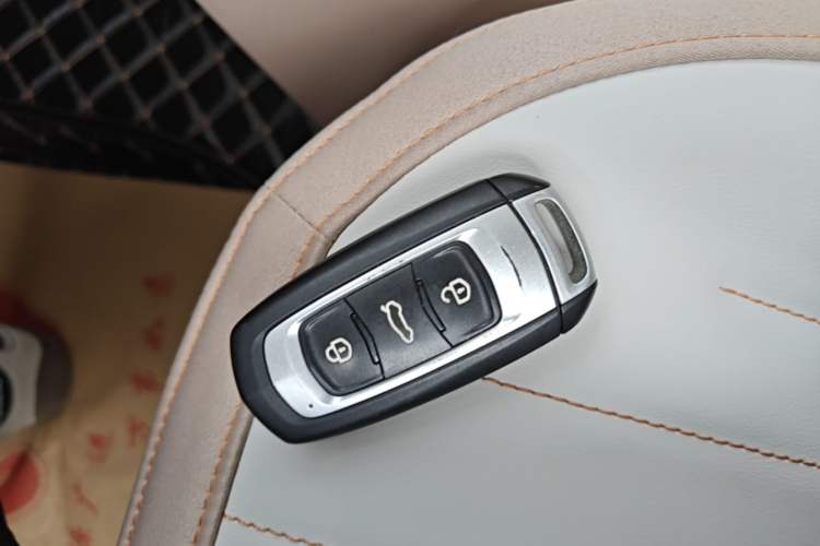 Used Geely Galaxy Panda 2023 Panda Mini 200km Endurance Bear Vehicle Key