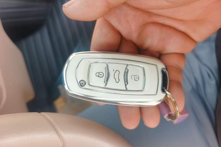 Used Geely Galaxy Panda 2023 Panda Mini 200km Endurance Bear Vehicle Key