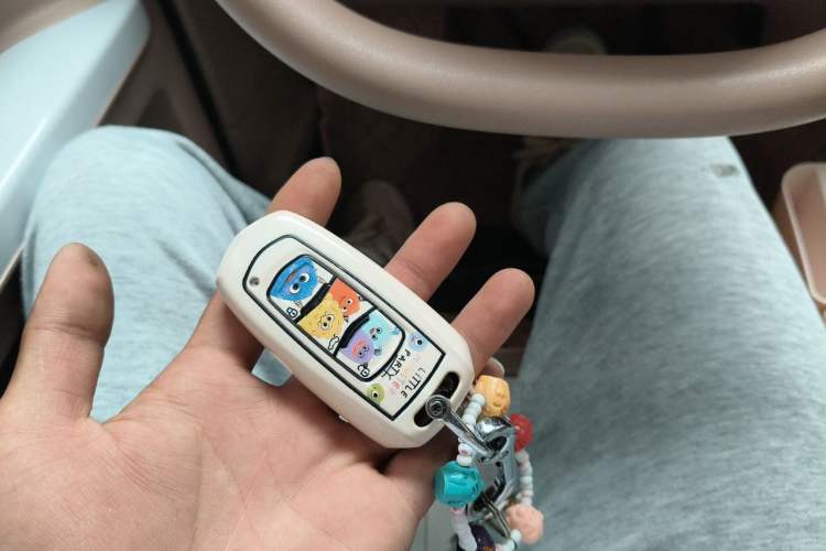 Used Geely Galaxy Panda 2023 Panda Mini 200km Endurance Bear Vehicle Key