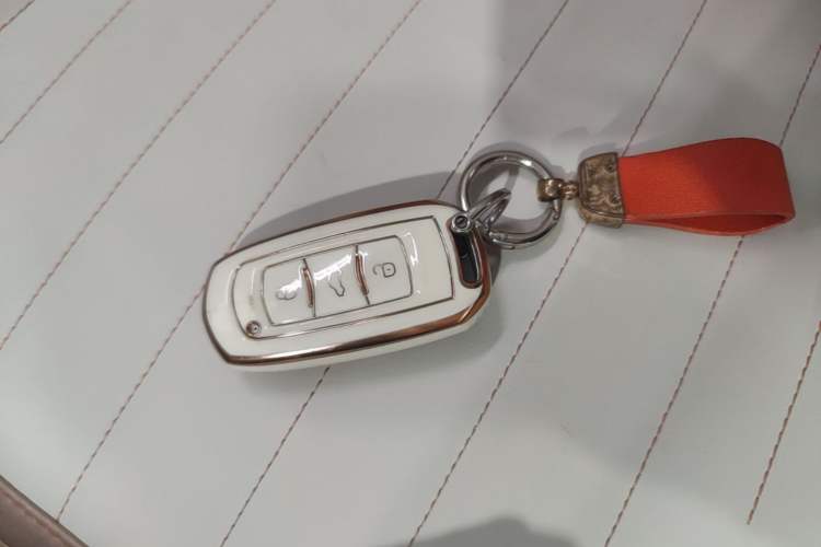 Used Geely Galaxy Panda 2023 Panda Mini 200km Endurance Bear Vehicle Key