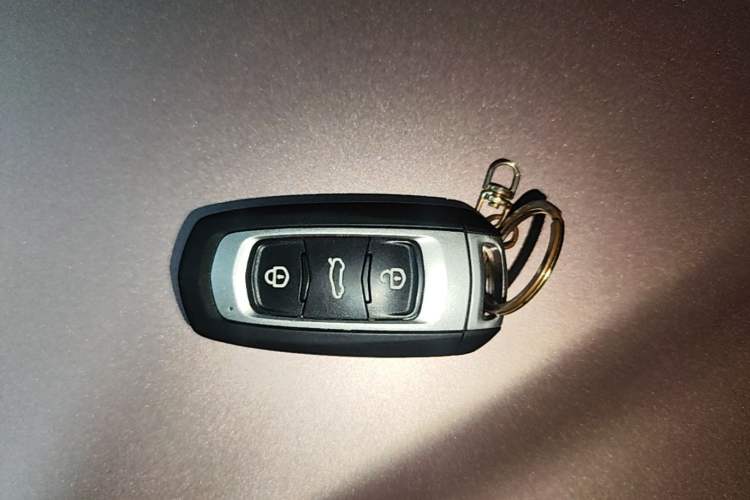 Used Geely Galaxy Panda 2023 Panda Mini 200km Endurance Bear Vehicle Key