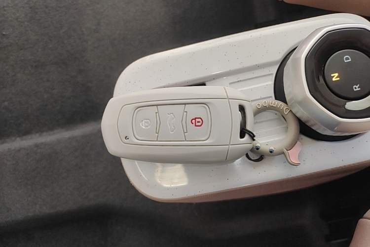 Used Geely Galaxy Panda 2023 Panda Mini 200km Endurance Bear Vehicle Key