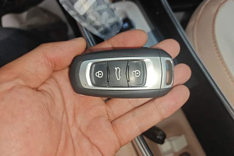 Used Geely Galaxy Panda 2023 Panda Mini 200km Endurance Bear Vehicle Key
